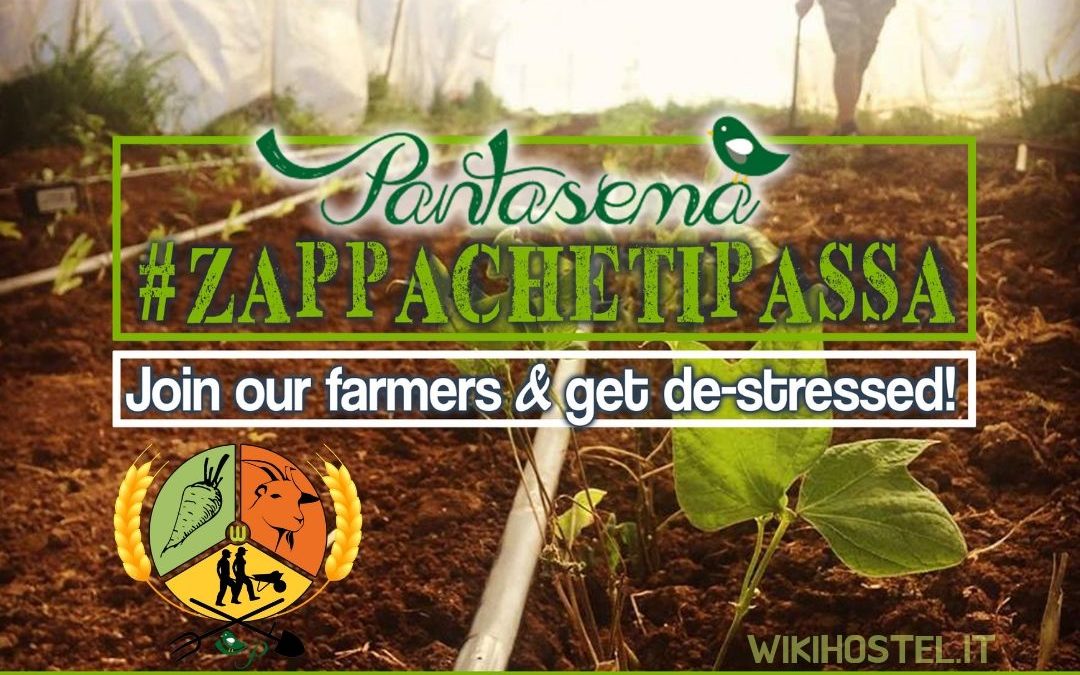 Wiki Hostel ‘FARMER FOR A DAY’ Pantasema experience